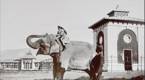Στις αρχές του περασμένου αιώνα, ο ζωολογικός κήπος ήταν στο Παλαιό Φάληρο…Και οι εικόνες της εποχής είναι χαρακτηριστικές